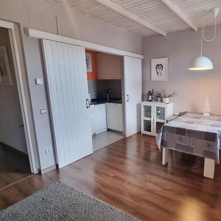 Apartment Sant Francesc Olot Kültér fotó