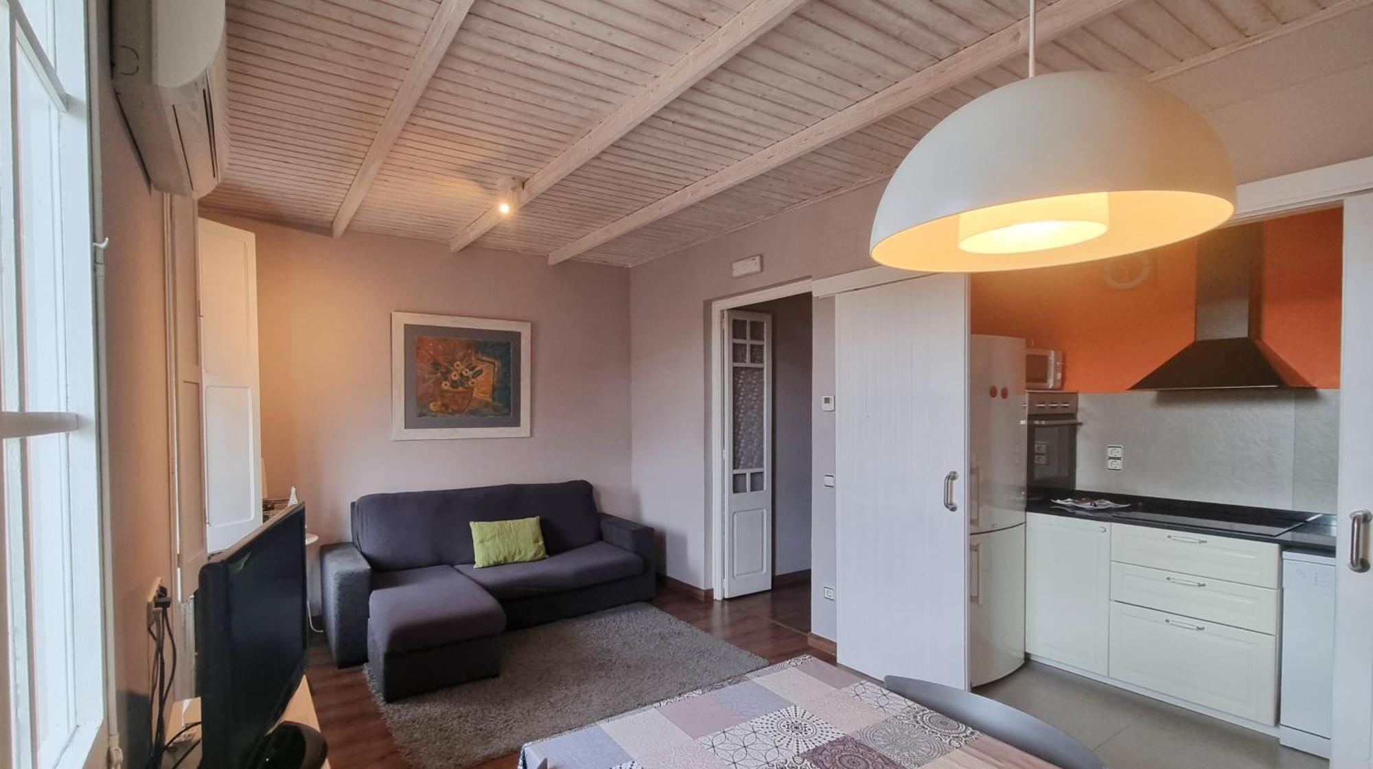 Apartment Sant Francesc Olot Kültér fotó