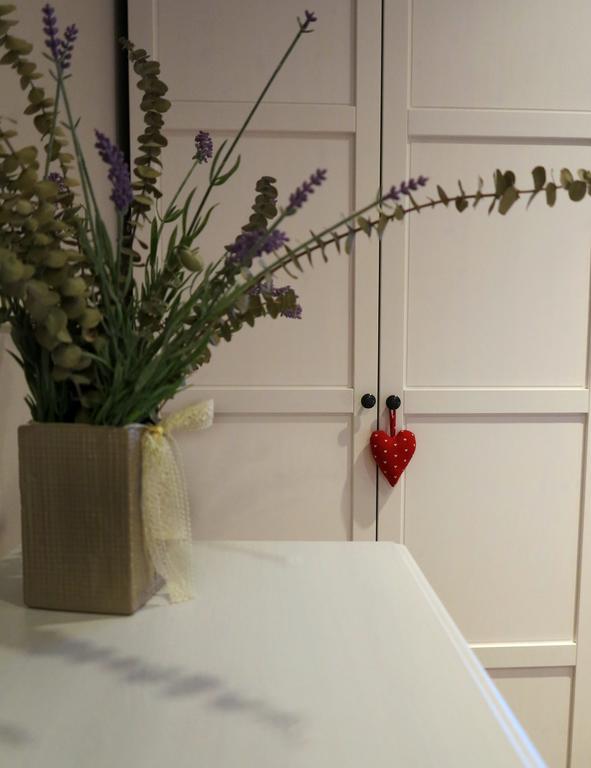 Apartment Sant Francesc Olot Kültér fotó